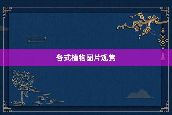 各式植物图片观赏