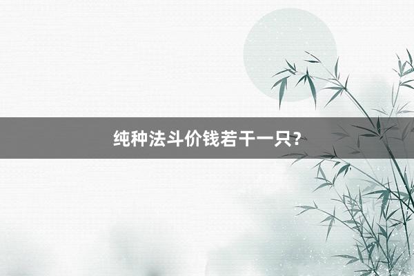 纯种法斗价钱若干一只?