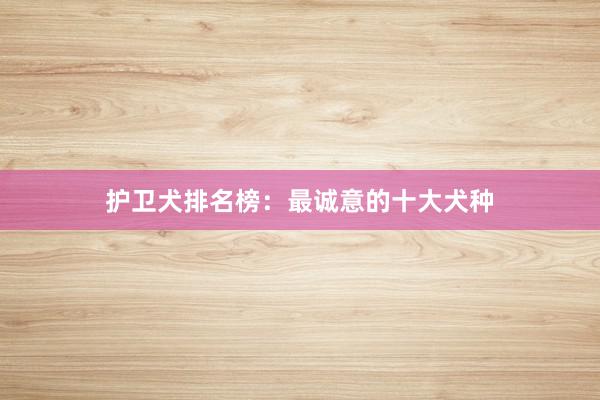 护卫犬排名榜：最诚意的十大犬种